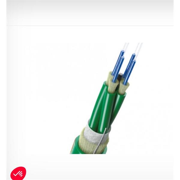 英國(guó)scaime兩端帶法蘭緊湊扭矩計(jì)DF2553-10Nm